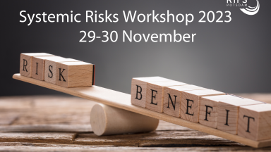 Systemic Risks Workshop 2023